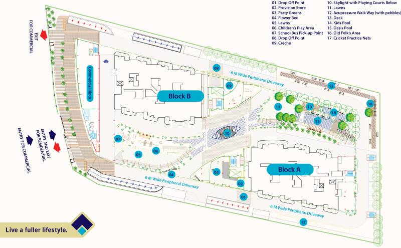  shelton Images for Master Plan of Citrus Shelton
