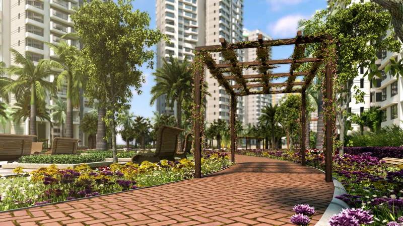 Images for Elevation of L And T Emerald Isle
