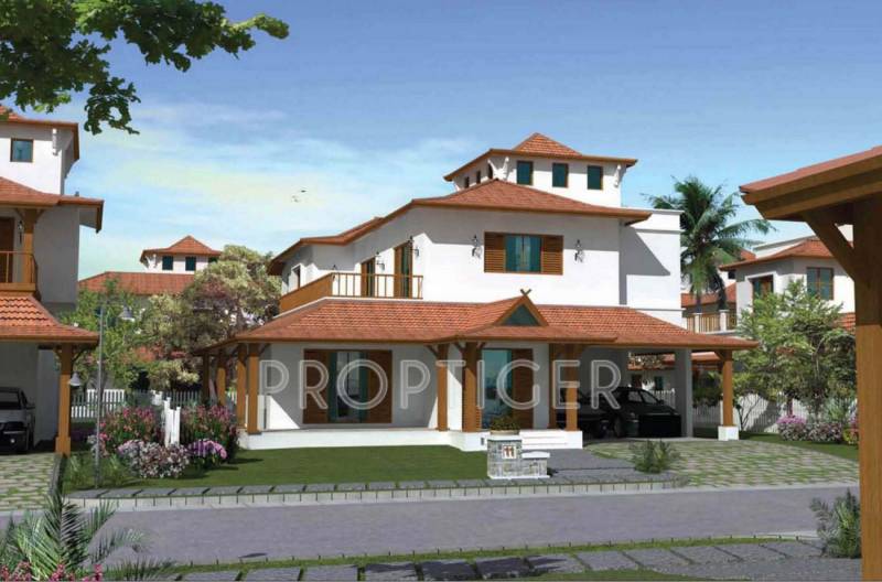 oasis Images for Elevation of Prestige Oasis