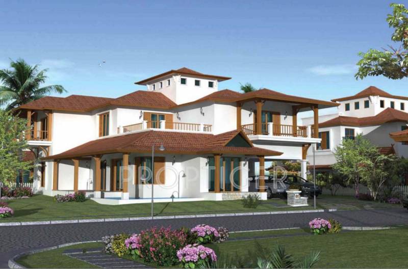  oasis Images for Elevation of Prestige Oasis