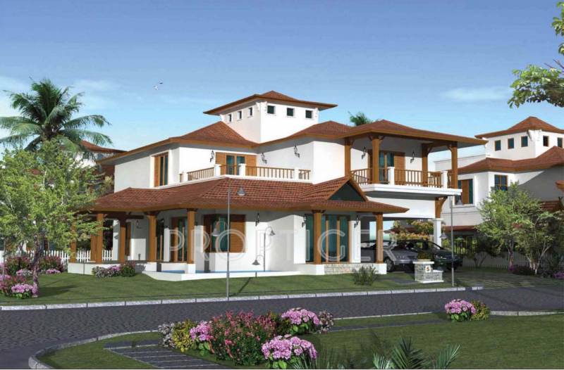  oasis Images for Elevation of Prestige Oasis