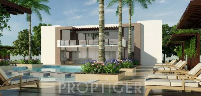  aspire Images for Amenities of Ace Aspire