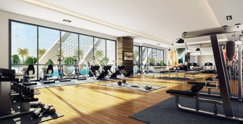  beethoven-8 Images for Amenities of Agrante Beethoven 8