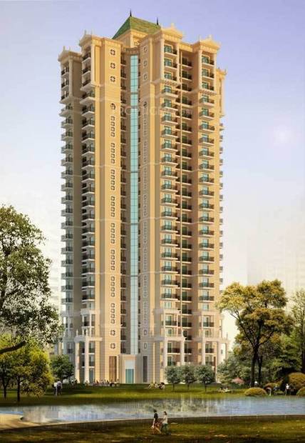  athena Images for Elevation of Capital Athena