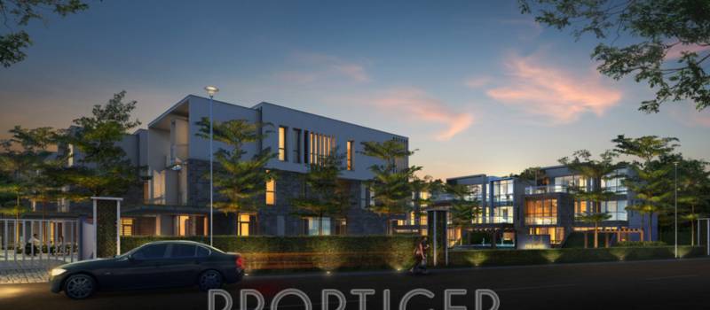 Images for Elevation of Olympia Enchante