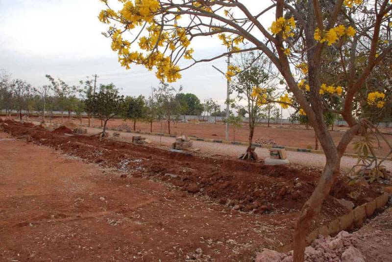 Images for Main Other of Bhagyashree Riviera
