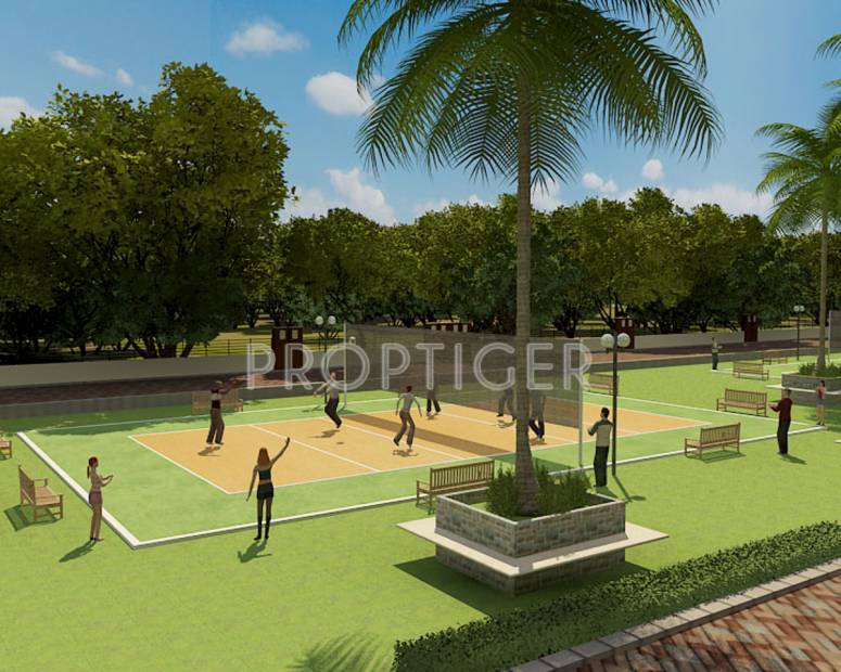  palm-olympia Images for Amenities of Sam Palm Olympia