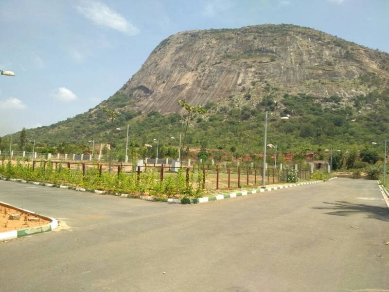 Images for Main Other of DivyaSree Base Camp