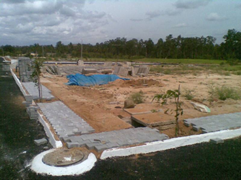  nandi-nest Main Other