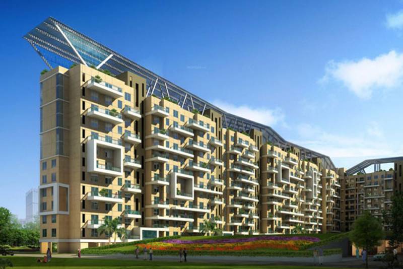 Images for Elevation of Karia Konark Orchid