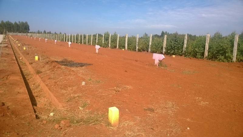 Images for Main Other of Shreyas Sunrise