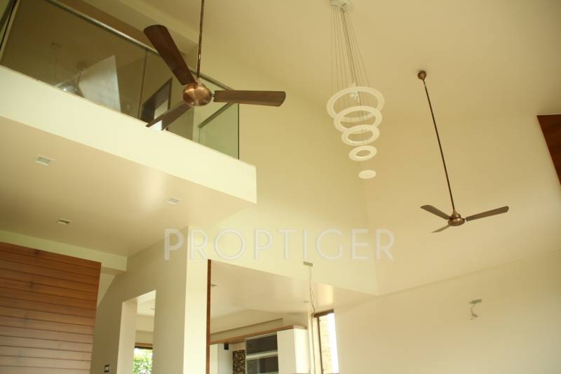 Images for Main Other of Ashapura Alpine Woods