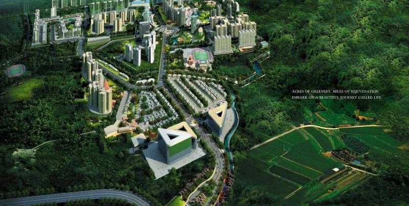  the-rain-forest Images for Elevation of Mounthill The Rain Forest