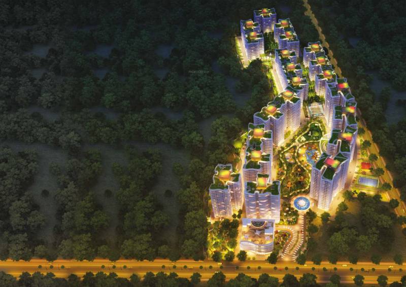  the-rain-forest Images for Elevation of Mounthill The Rain Forest