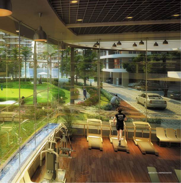  the-rain-forest Images for Amenities of Mounthill The Rain Forest