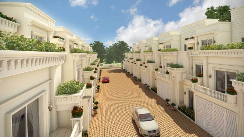 Images for Elevation of Saiven Caesars Palace