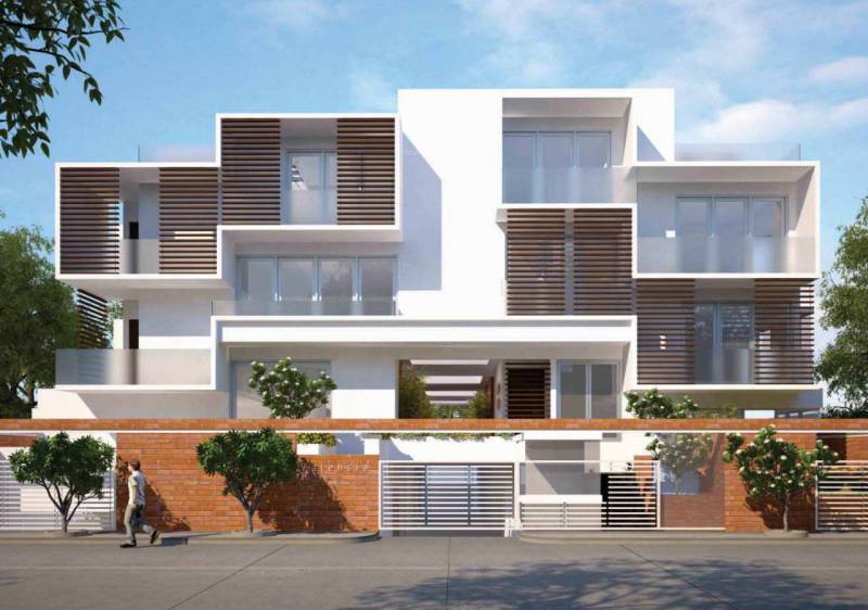  valencia Images for Elevation of Axis Concept Valencia