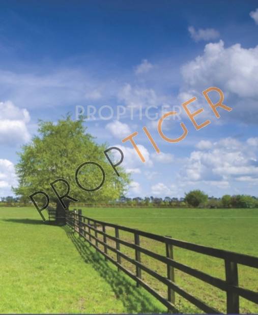 Images for Elevation of Sairung Green Meadows