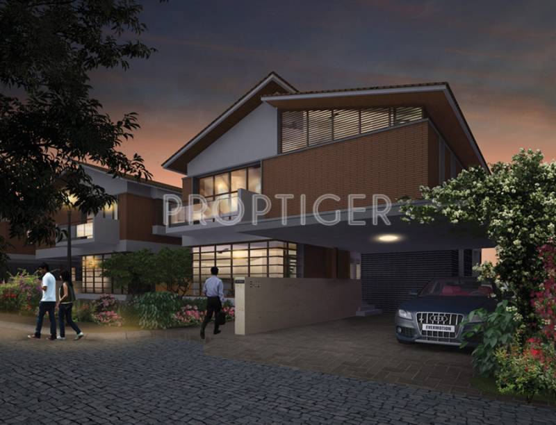  maitri Images for Elevation of Sycon Maitri