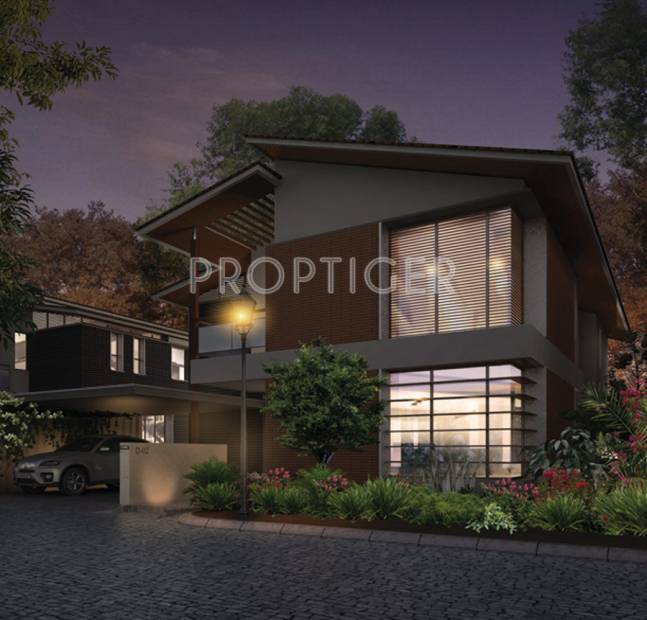  maitri Images for Elevation of Sycon Maitri