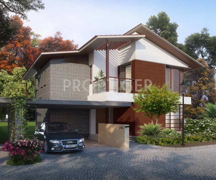  maitri Images for Elevation of Sycon Maitri
