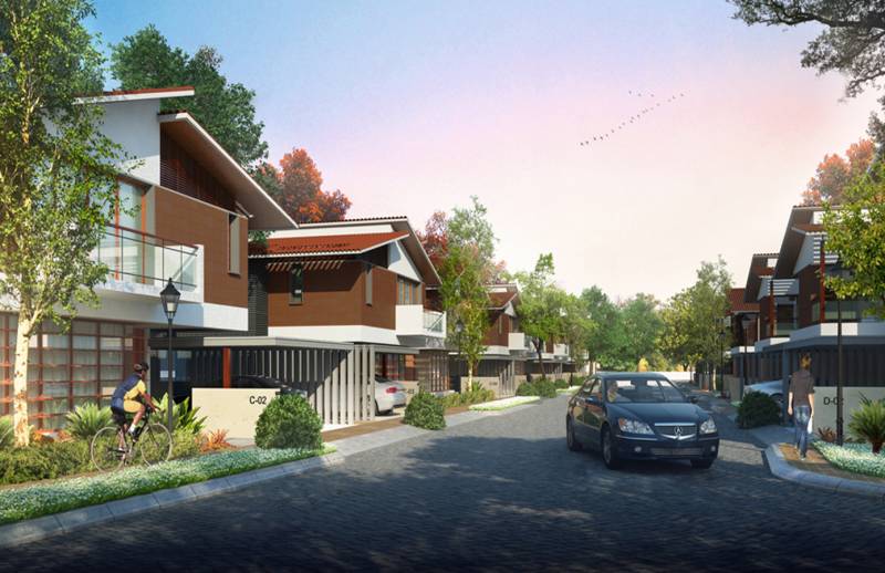  maitri Images for Elevation of Sycon Maitri