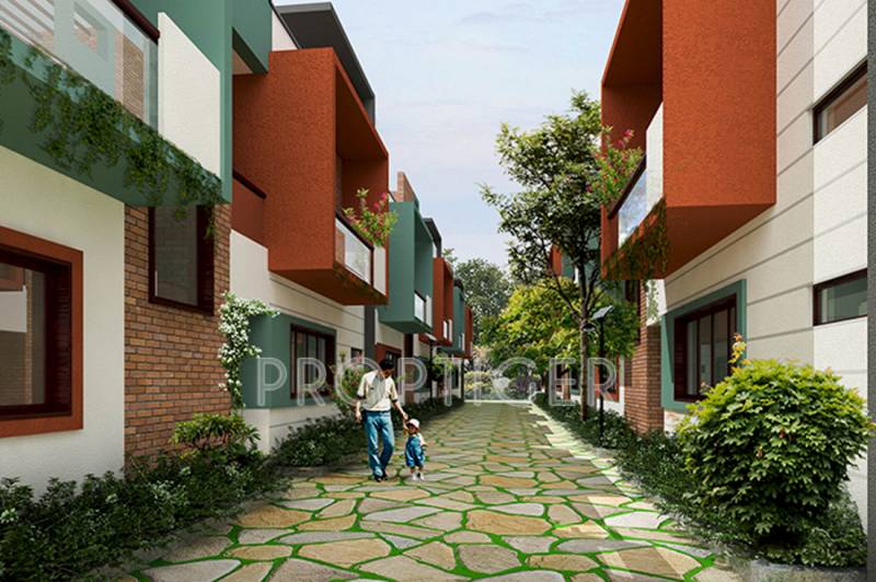Images for Elevation of ZED Ria