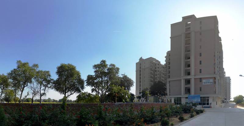 Images for Elevation of Unique Harmony Apartments