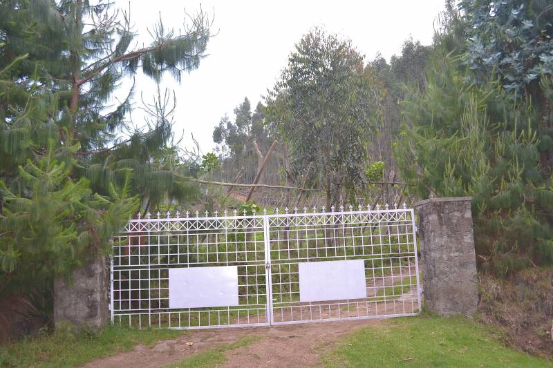  mount-up-avenue Plot