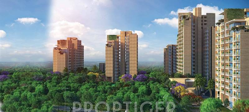 Images for Elevation of CHD Vann