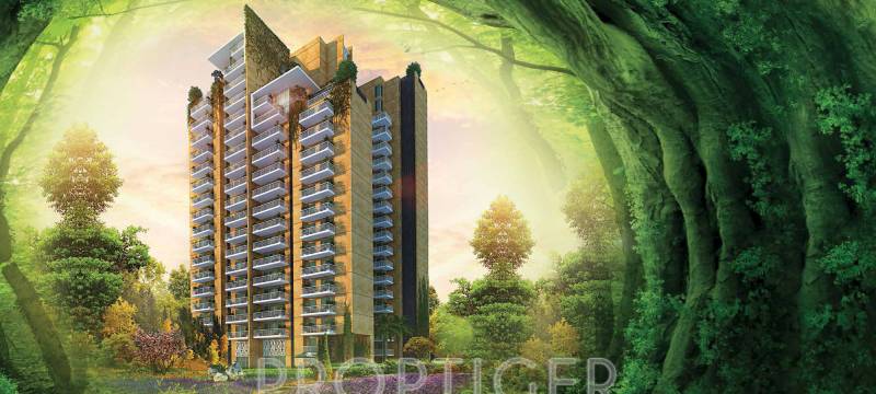 Images for Elevation of CHD Vann