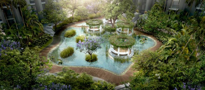  skyi-songbirds Images for Amenities of Skyi Songbirds Iris