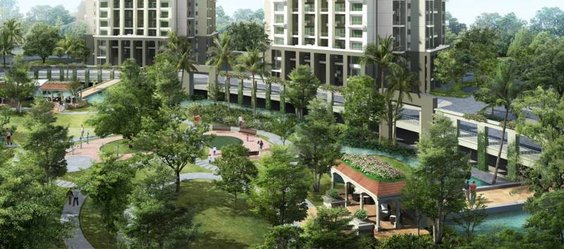  skyi-songbirds Images for Amenities of Skyi Songbirds Iris