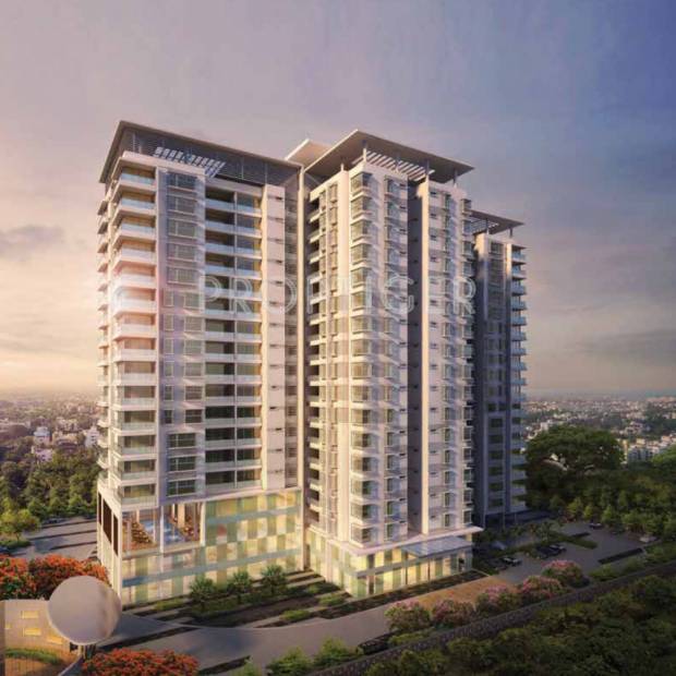 Images for Elevation of TVH Quadrant