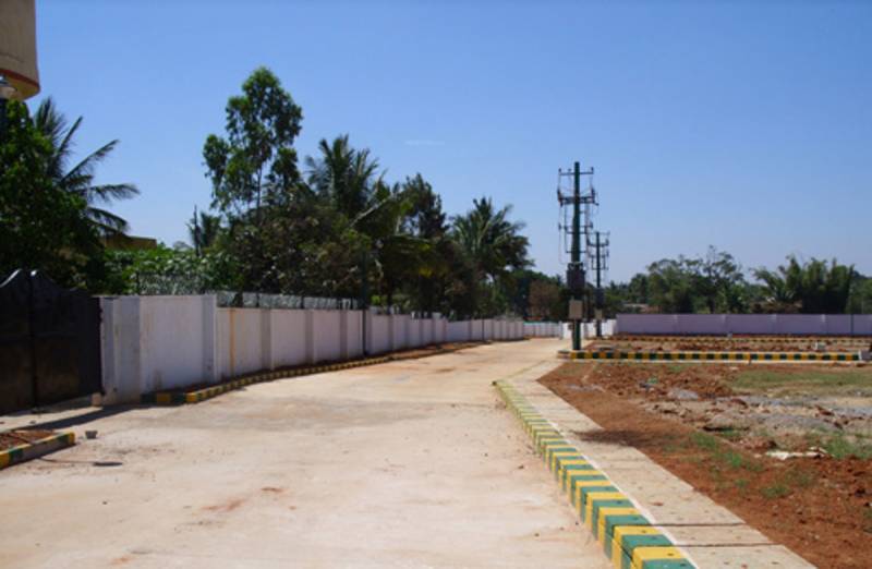  the-orchids Plot