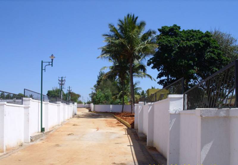  the-orchids Plot