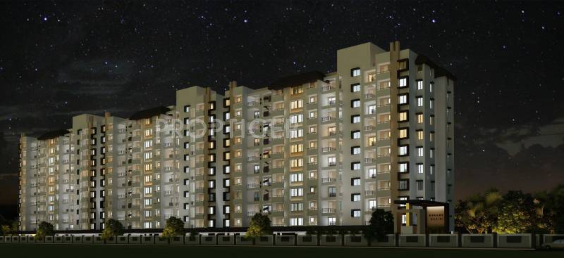 Images for Elevation of Dreams Ragini