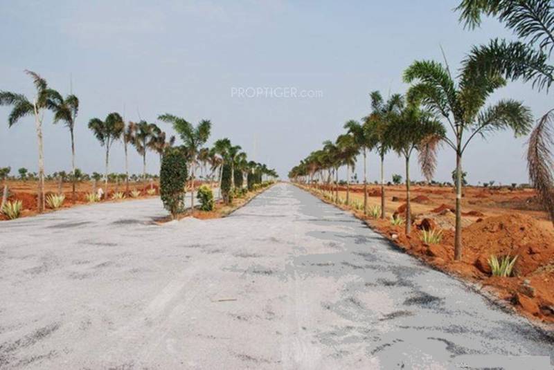 Images for Main Other of Vikhyath Infra Developers Haritha Vanam Phase II