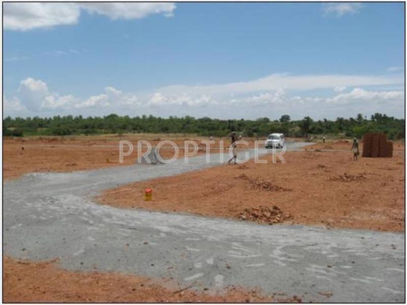  estates Images for Elevation of Pearl Estates