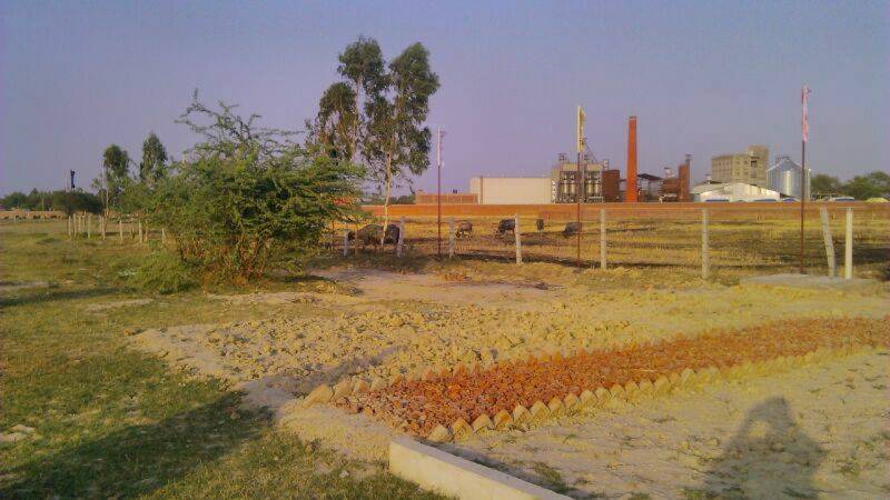 Images for Main Other of Kanchhal Flora County