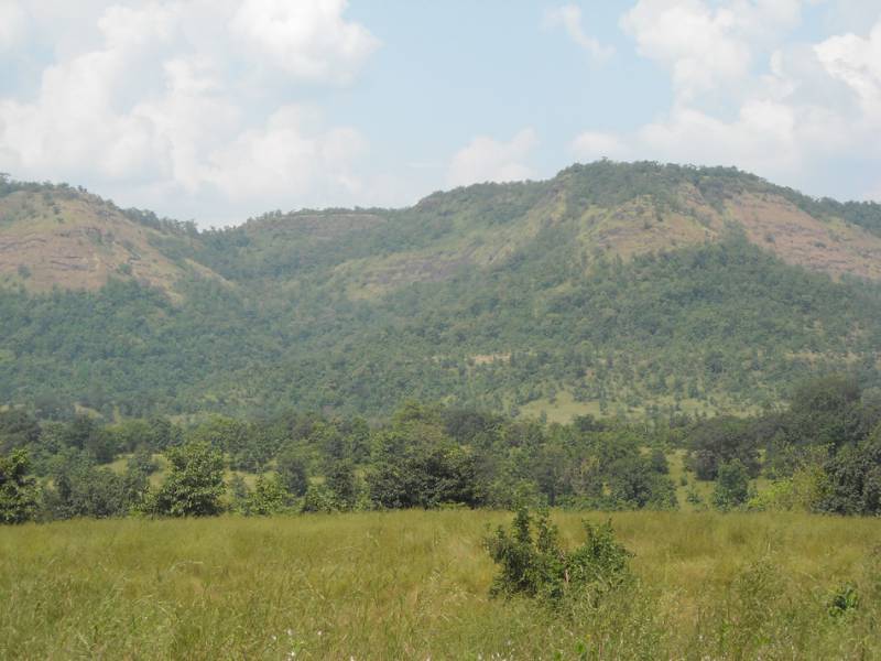 Images for Main Other of Disha Direct Landmarc Hills