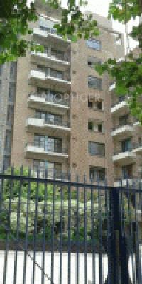 Images for Elevation of Reputed IFS Apartment