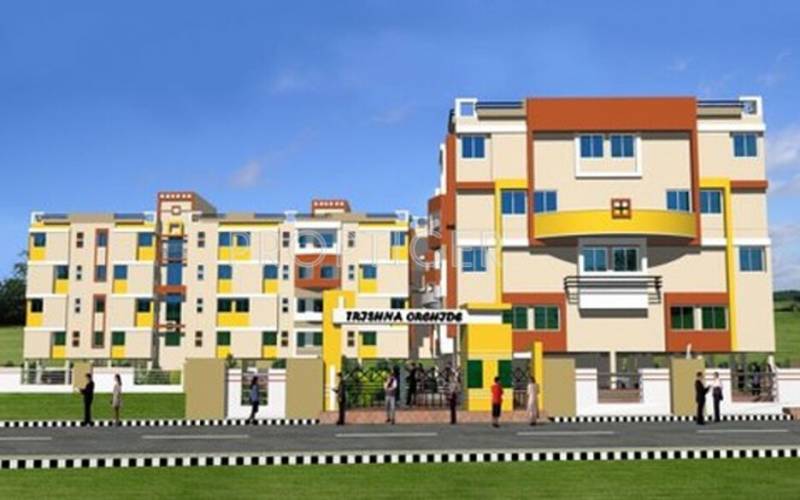 Images for Elevation of Trishna Orchid