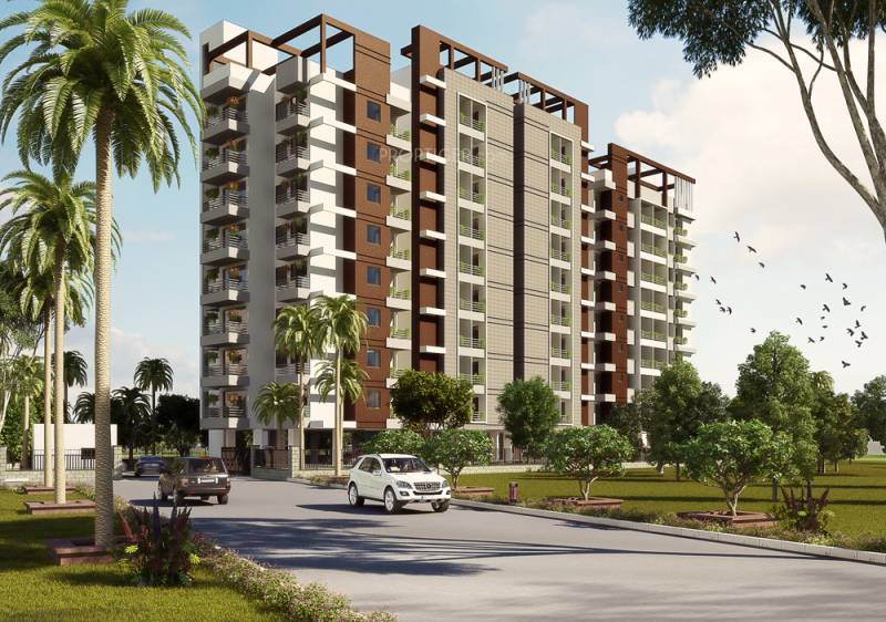 Images for Elevation of Sun Springfields