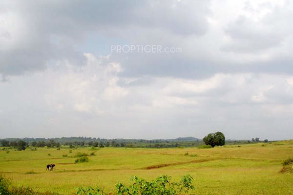  makhmalabad-plot Images for Amenities of Subhadra Estates Makhmalabad Plot