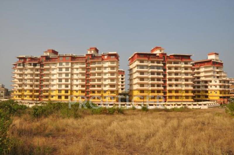  status Project Image