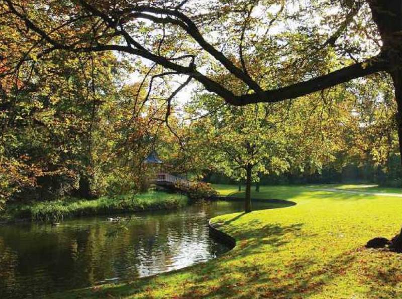  smiling-willows Images for Amenities of Purva The Sound of Water