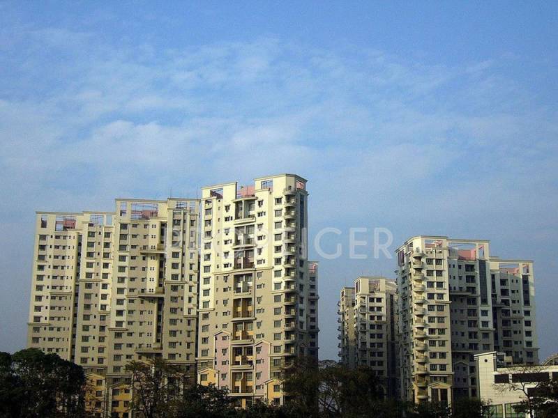  silver-spring Project Image