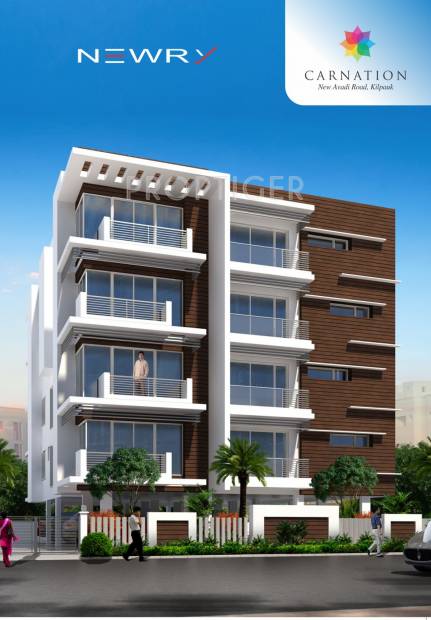 Images for Elevation of Newry Carnation