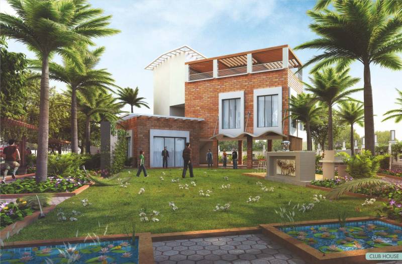  alcinia Images for Amenities of Vertical Alcinia